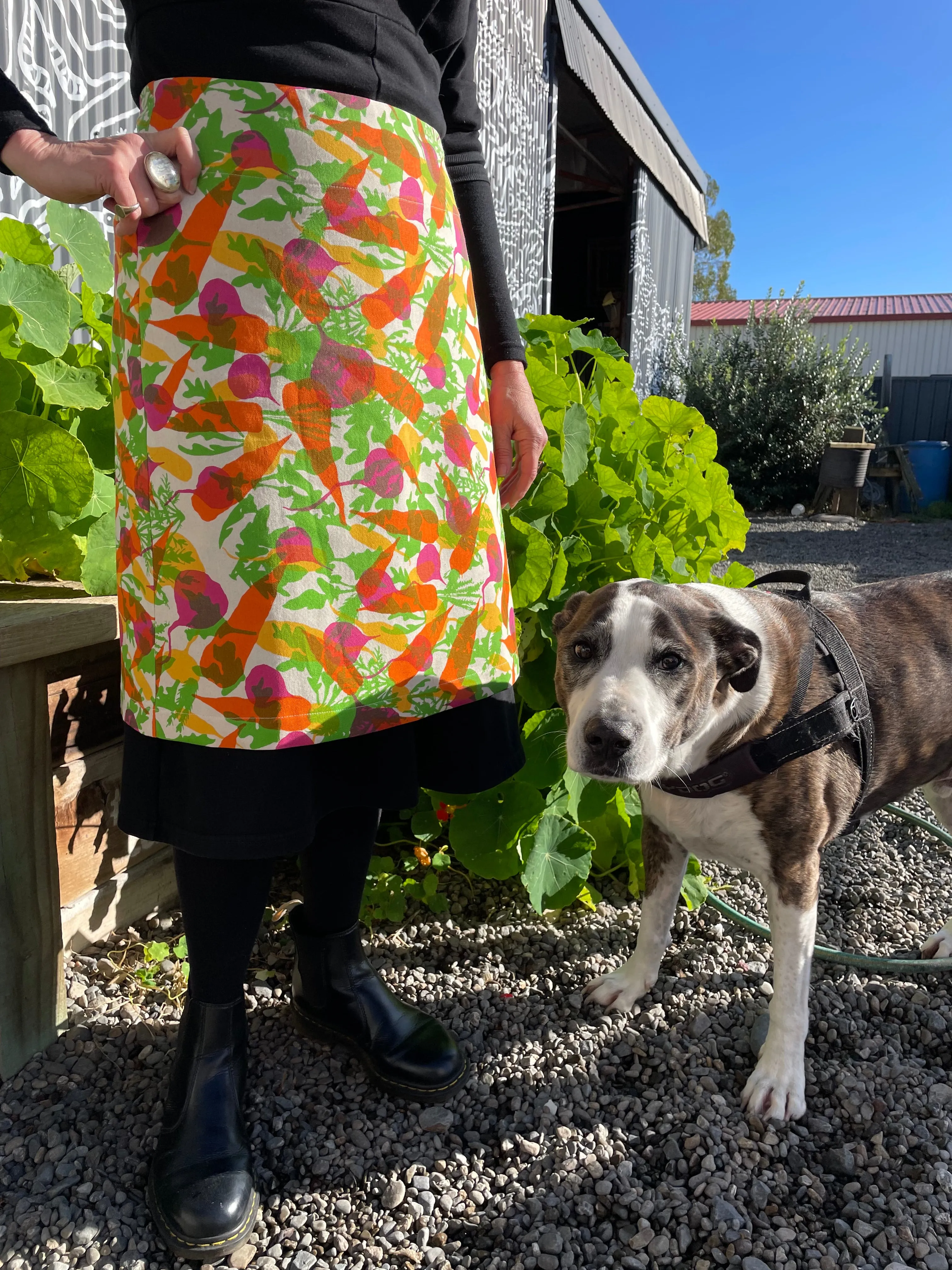 A line Skirt Veggies