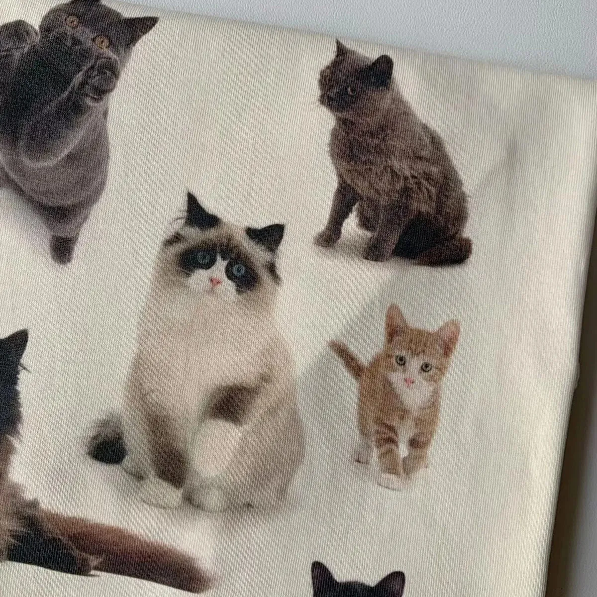 Cat Print Aesthetic T-Shirt